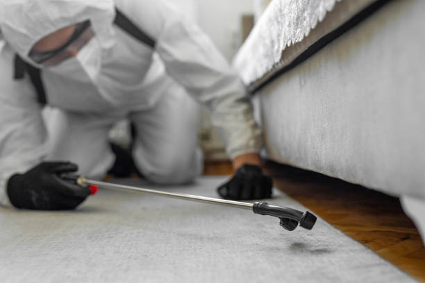 Professional Bed Bug Control technician working in Rockford, IL