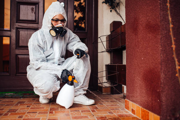 Reliable Bed Bug Control contractor in Rockford, IL by Nex Pest Control