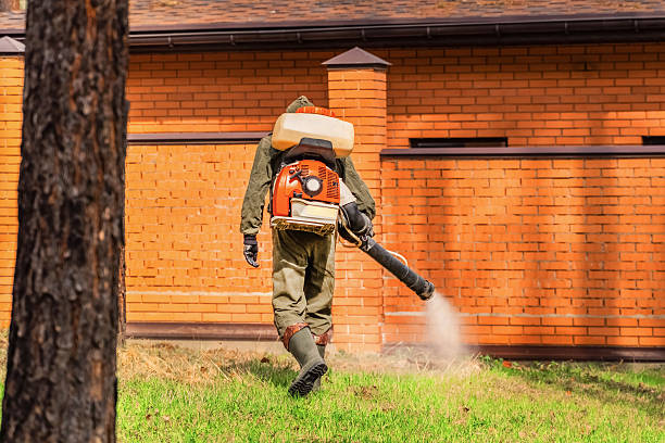Trusted Termite Control service in Rockford, IL - Nex Pest Control
